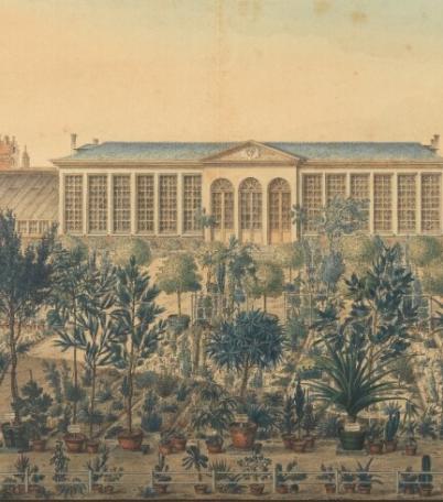 Gezicht op de oranjerie, de warme kassen en een deel van de Plantentuin van de stad Gent 